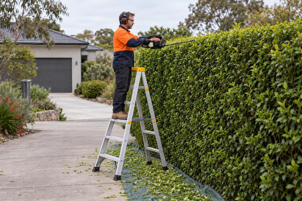Trimming a tall hedge